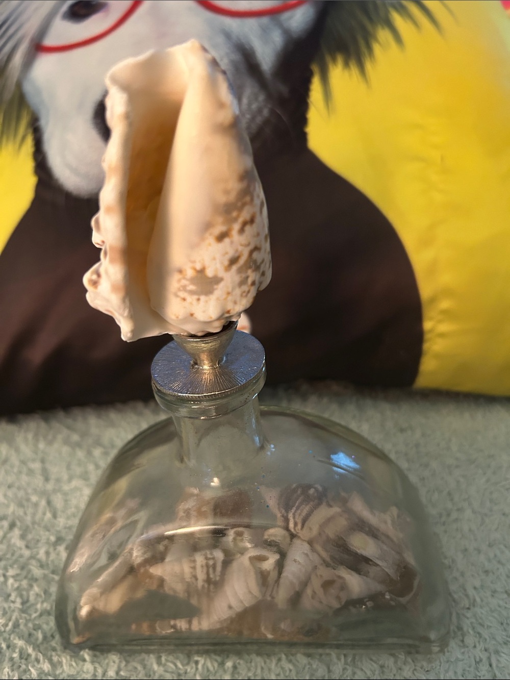 Odd shaped Bottle containing seashell with shell stopper & seashell wine stopper - Picture 6 of 11